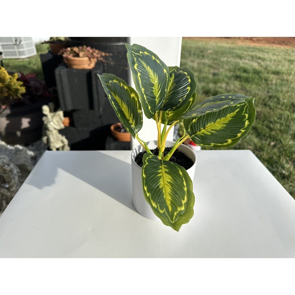 4Pc‎ Threshold Potted Faux Plant Green Yellow Variegated Leaves White Pot 9 Inch